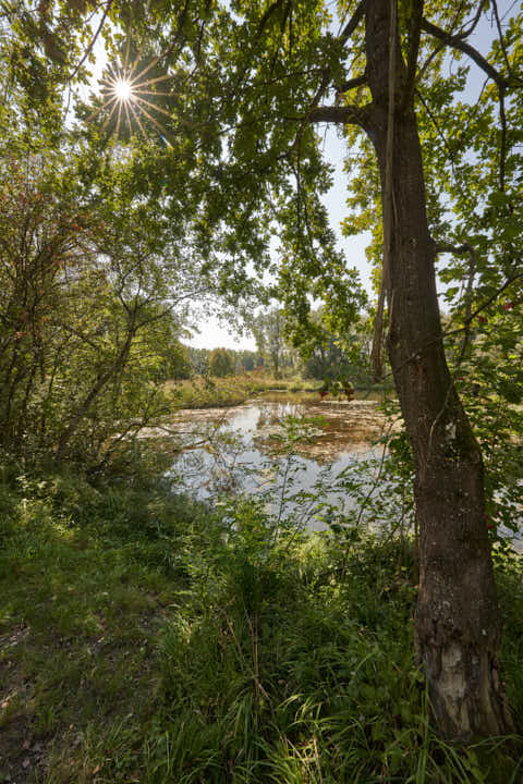 Gemeinde Altötting Landkreis Altötting Silbersee Landschaft (Dirschl Johann) Deutschland AÖ